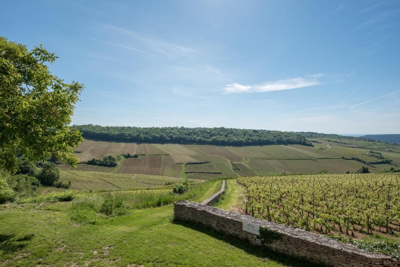 Chez Joseph - Au Coeur Des Vignes De Saint-Romain Kültér fotó